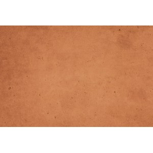 Alpina Mineral Beton Effektfarbe im Farbton Terracotta, Nahaufnahme der Oberfläche.