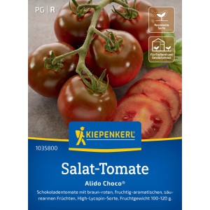 Kiepenkerl Salat-Tomate Alido Choco F1-Hybride mit braun-roten Früchten.