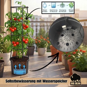 BigDean 2 Stück Tomatentopf XL ca 40cm und 154cm Hoch Stabil Made in Europa