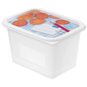 Rotho Gefrierdose-Set Domino 1 l Weiß 4-teilig