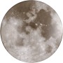 Weiße Reality LED Deckenleuchte Moonika im Mond-Design, geeignet für Bad und Wohnraum.