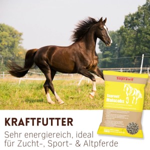 Galoppierendes braunes Pferd auf grüner Wiese mit gelbem Sack Supravit Maiscobs Kraftfutter für Pferde.