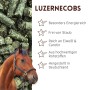 Braunes Pferd mit Halfter vor grünen Supravit Luzernecobs Pellets. Energiereiches Pferdefutter, reich an Eiweiß & Carotin.