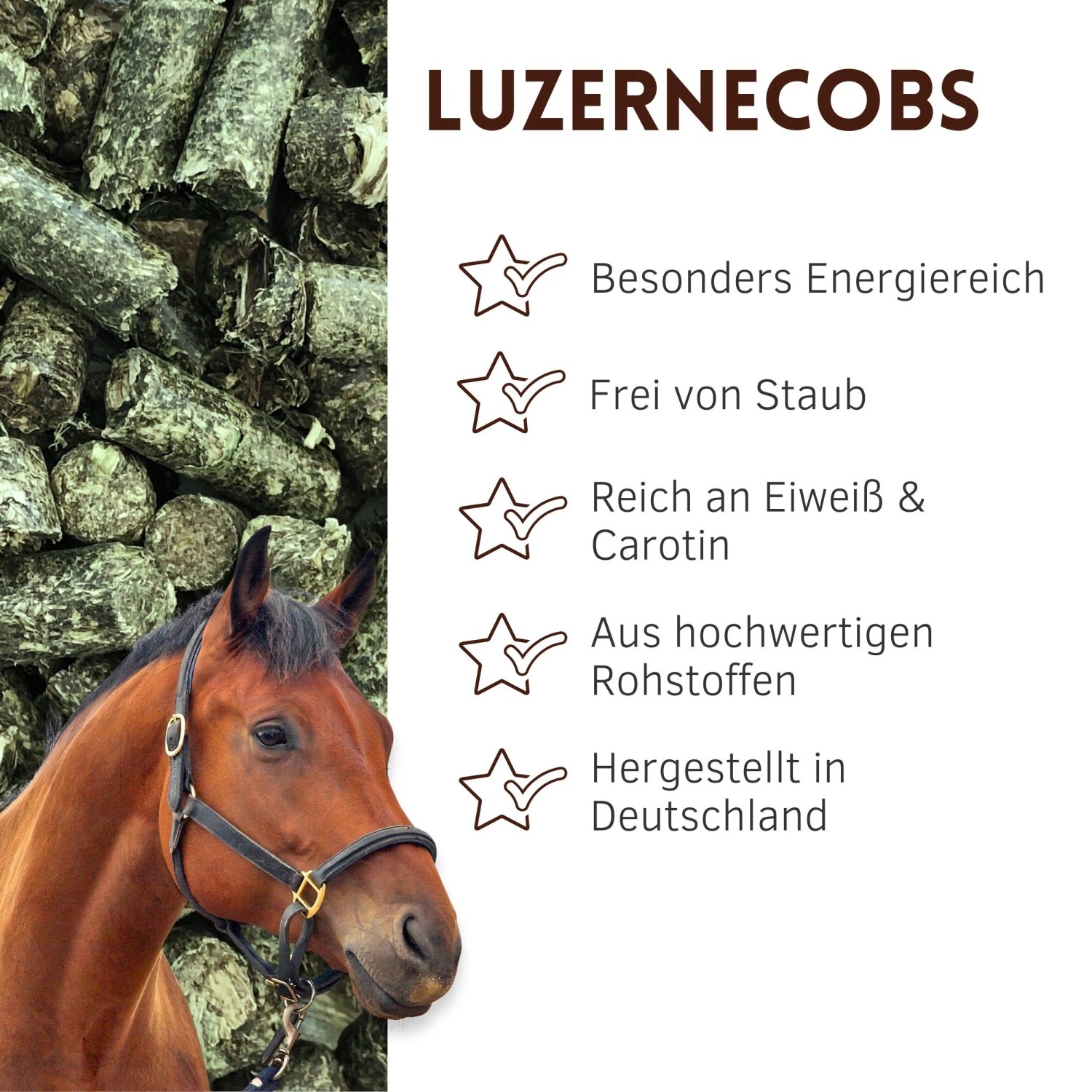 Braunes Pferd mit Halfter vor grünen Supravit Luzernecobs Pellets. Energiereiches Pferdefutter, reich an Eiweiß & Carotin.