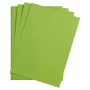 Clairefontaine-Fotokarton Maya A4 270 g Moosgrün 25 Blatt
