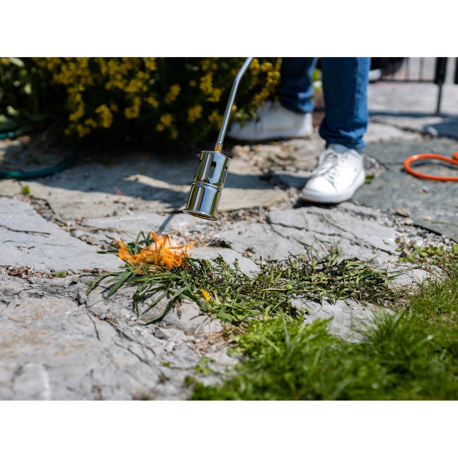 Rothenberger Anwärmbrenner Eco 47 im Einsatz: Unkraut wird abgeflämmt.