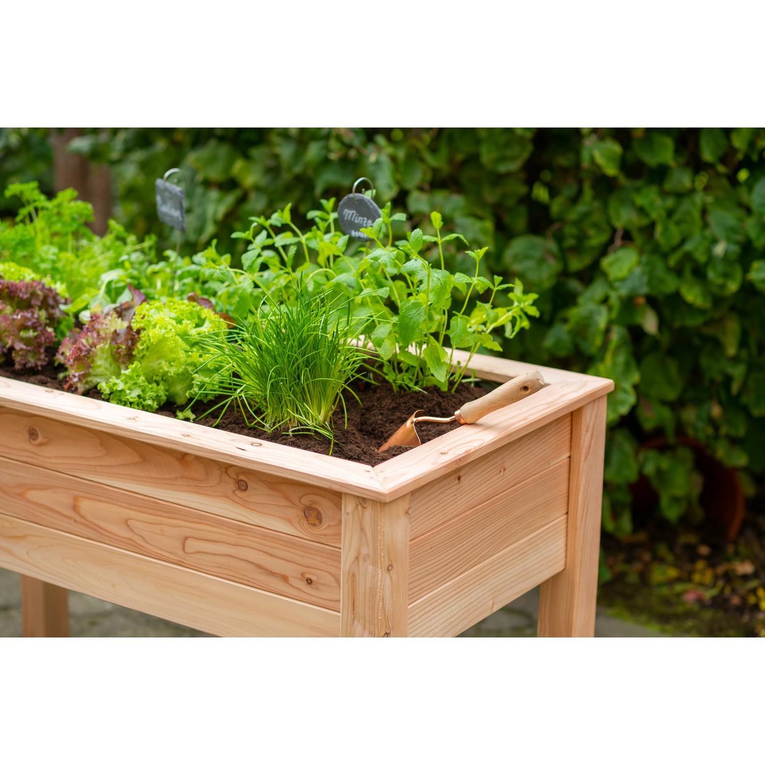Westmann Hochbeet aus Lärchenholz, 120x65x75 cm, bepflanzt mit Salat und Kräutern.