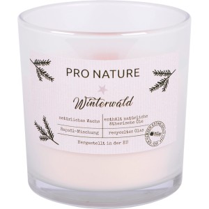 Raps-Kerze Winterwald im Glas mit Holzdocht, 100x100mm. Duftkerze für gemütliche Stunden.