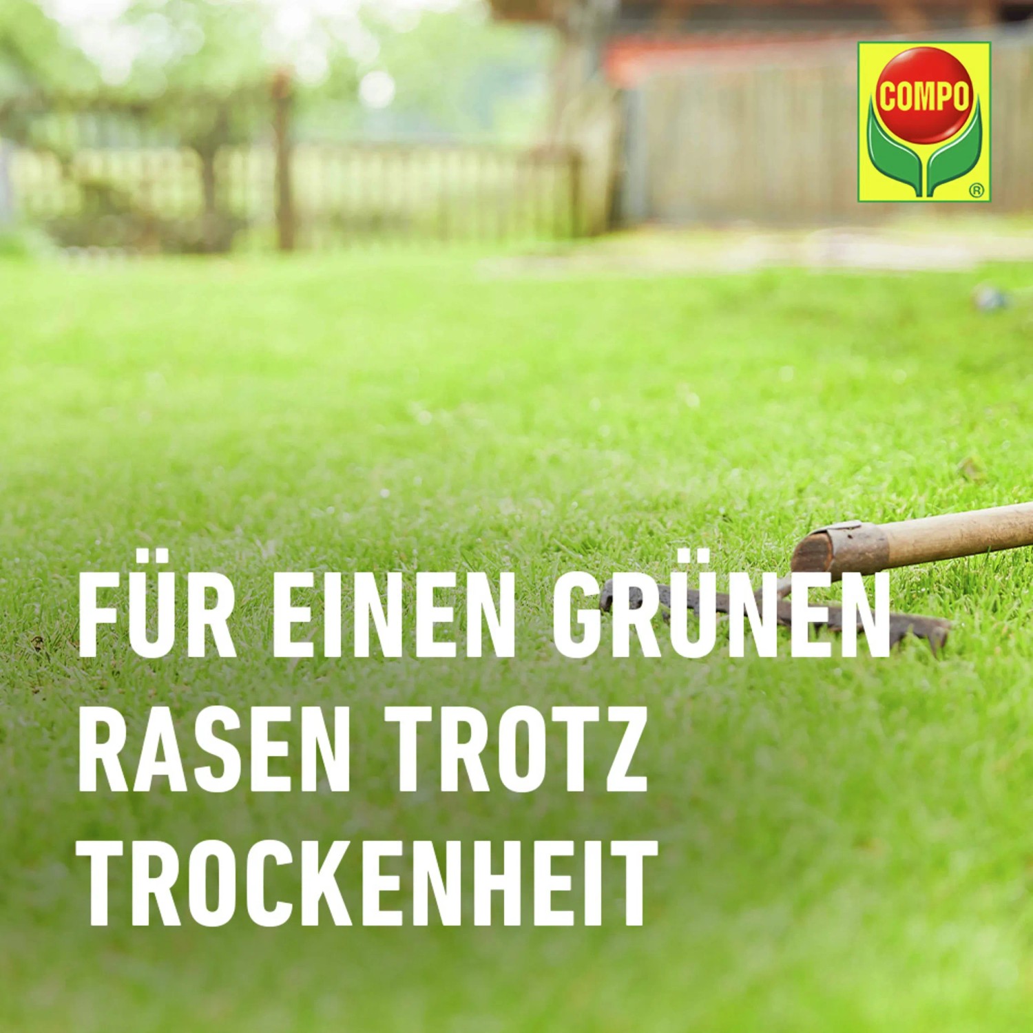 Sattes Grün dank Compo Saat® Trocken-Rasen: Rasensamen für trockene Standorte, 2kg für 80m².