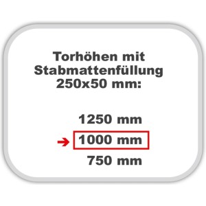 Infografik: Torhöhen mit Stabmattenfüllung 250x50 mm, Fokus auf 1000 mm Höhe.