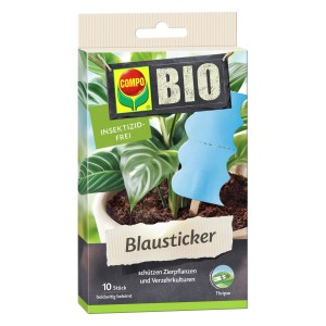 Compo Bio-Blausticker, 10 Stück, zur Schädlingsbekämpfung an Zierpflanzen. Insektizidfrei.