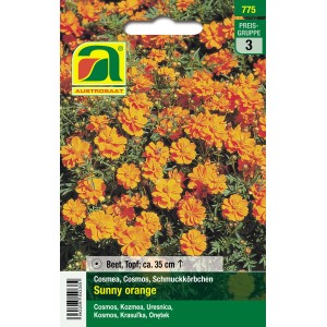Austrosaat Schmuckkörbchen Sunny orange: Orangene Cosmea-Blüten im Saatguttütchen.