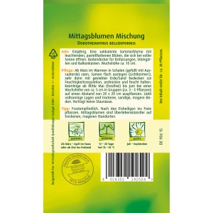 Samenpackung Quedlinburger Mittagsblume Mischung für farbenfrohe Sommerblumen.