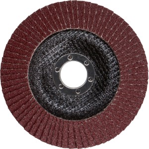 LUX Fächerschleifscheibe Multi Ø 125 mm, Körnung K60 für Winkelschleifer.