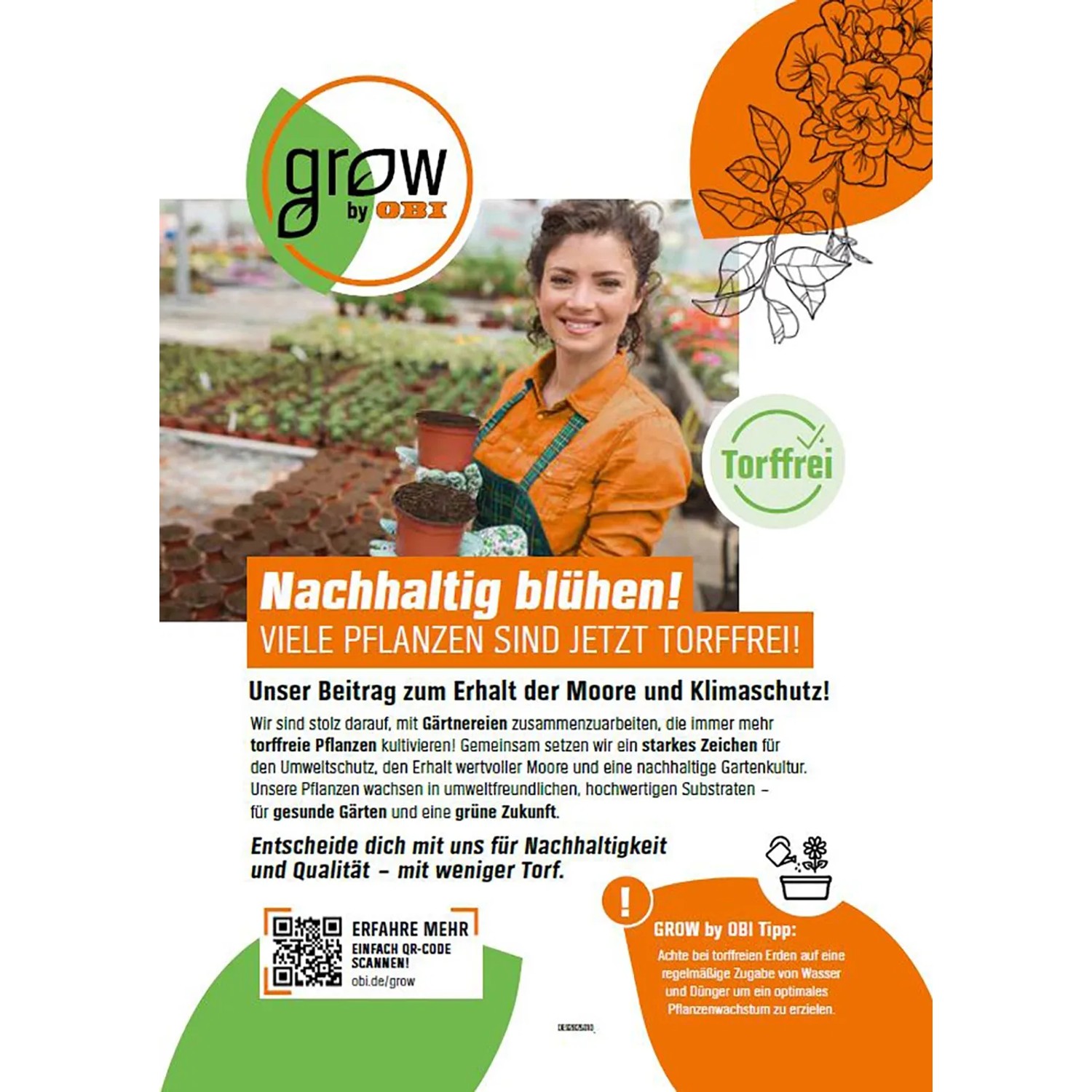 GROW by OBI Garten-Moos-Steinbrech Jumbo RC Höhe ca. 22 cm Saxifraga arendsii_2