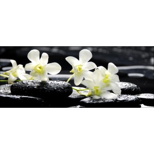 Glasbild mit drei weißen Blüten auf schwarzen, nassen Steinen. Dekorative Wandkunst.
