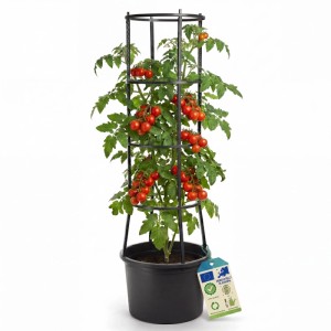 BigDean 1 Stück Tomatentopf XL ca 40cm und 154cm Hoch Stabil Made in Europa