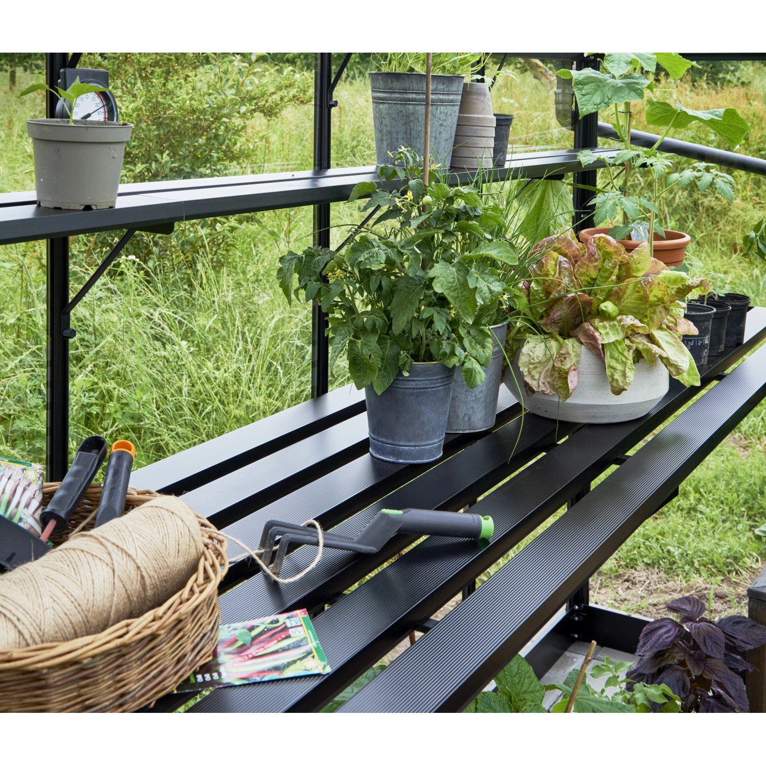 Schwarzes Halls Lamellenregal Cotswold im Gewächshaus mit Pflanzen und Gartenzubehör.
