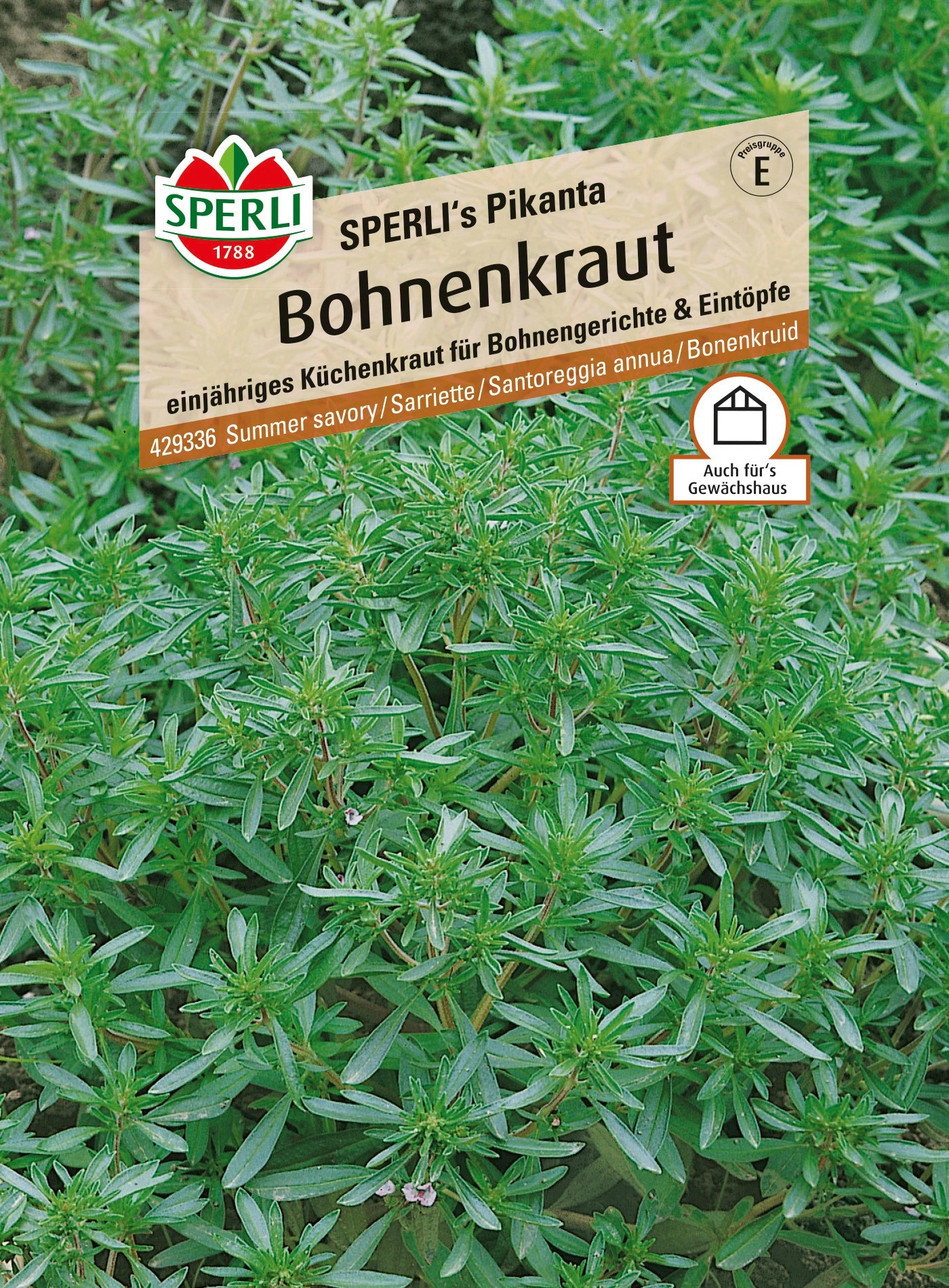 Sperli Bohnenkraut "Sperli's Pikanta" Kaufen Bei OBI