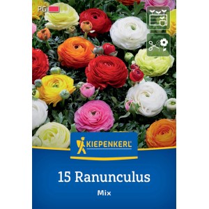 Kiepenkerl Ranunkel Mischung, 15 Blumenzwiebeln mit farbenfrohen Blüten.