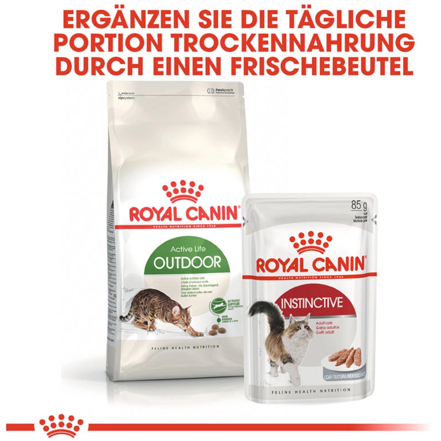 Royal Canin Outdoor Katzenfutter Trocken und Feuchtfutter im Set.