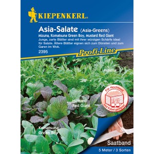 Kiepenkerl Asia-Salate "Mizuna, Komatsuna Green Boy, Mustard Red Giant" Saatband