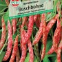 Sperli Saatgut Buschbohne Borlotto rosso