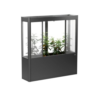 Biohort Florentina Gewächshausaufsatz für Hochbeet, 2x0,5 m, dunkelgrau-metallic. Pflanzen im Inneren sichtbar.