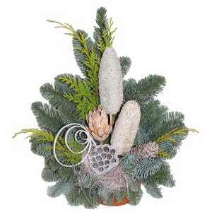 Grabschale Nobilis, Ø 15cm, mit Tanne, Konifere und Deko-Elementen für Gedenktage.