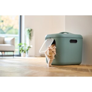 Rotho Katzentoilette Biala XL in Mistletoe Green mit Katze beim Verlassen des Katzenklos.