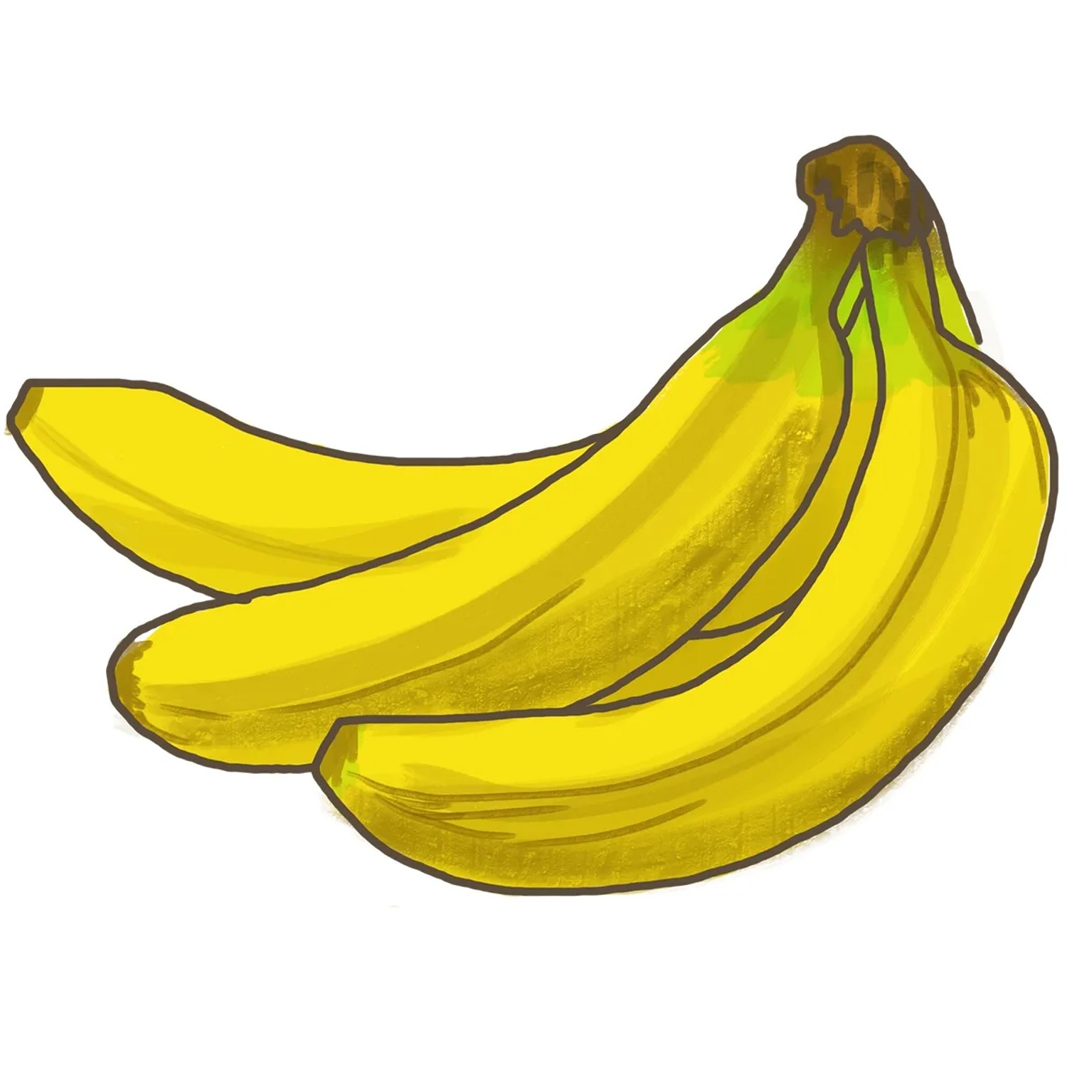 Illustration einer gelben, reifen Japanischen Faserbanane im 12 cm Topf.