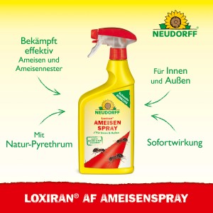 Neudorff Loxiran AF Ameisen-Spray 750ml, gelbe Sprühflasche zur Ameisenbekämpfung.