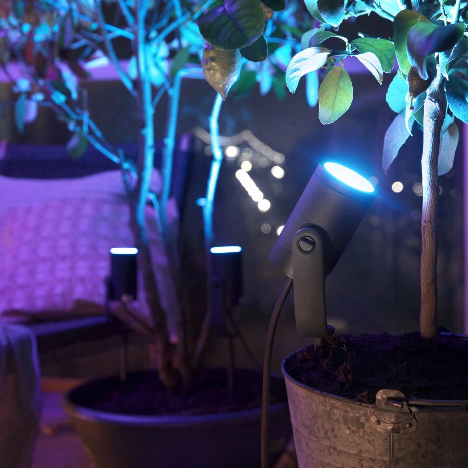 Drei anthrazitfarbene Philips Hue Lily Gartenstrahler beleuchten Pflanzen mit farbigem White & Color Licht. Smartes Leuchten Set.