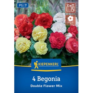 Kiepenkerl Blumenzwiebeln Knollenbegonie Gefüllte Mischung