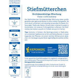 Kiepenkerl Saatgut Stiefmütterchen Orchideenblütige Mischung