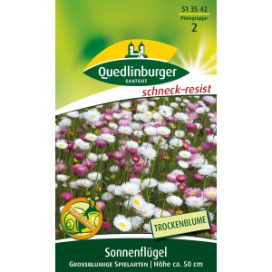 Quedlinburger Sonnenflügel Blumensamen, großblumige Sorten in Weiß, Rosa und Rot.