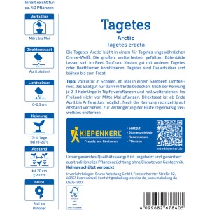 Kiepenkerl Tagetes Arctic Saatgutpackung mit cremeweißen Blüten.