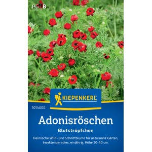 Kiepenkerl Adonisröschen Blutströpfchen Samenpackung mit roten Blüten und grünen Blättern.