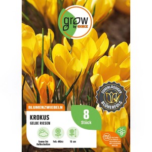 Verpackung gelber Krokus "Gelbe Riesen" von GROW by OBI, 8 Stück. Blühen im Frühjahr.