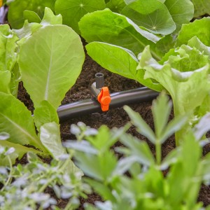 Gardena Regulierventil im Micro-Drip-System zwischen Pflanzen im Beet.
