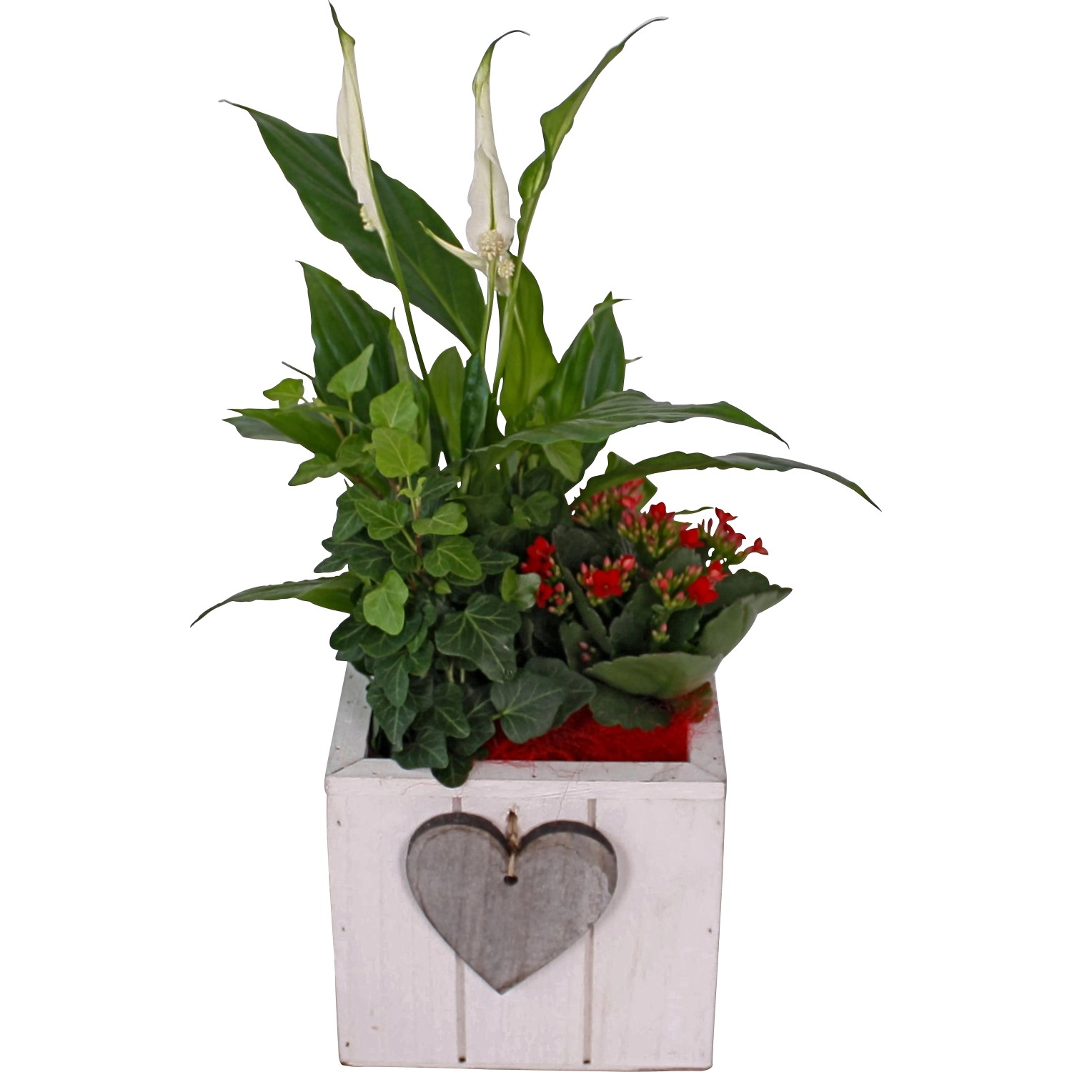 knstliche efeutute Efeutute Golden Pothos (Epipremnum aureum)  Classic Floral