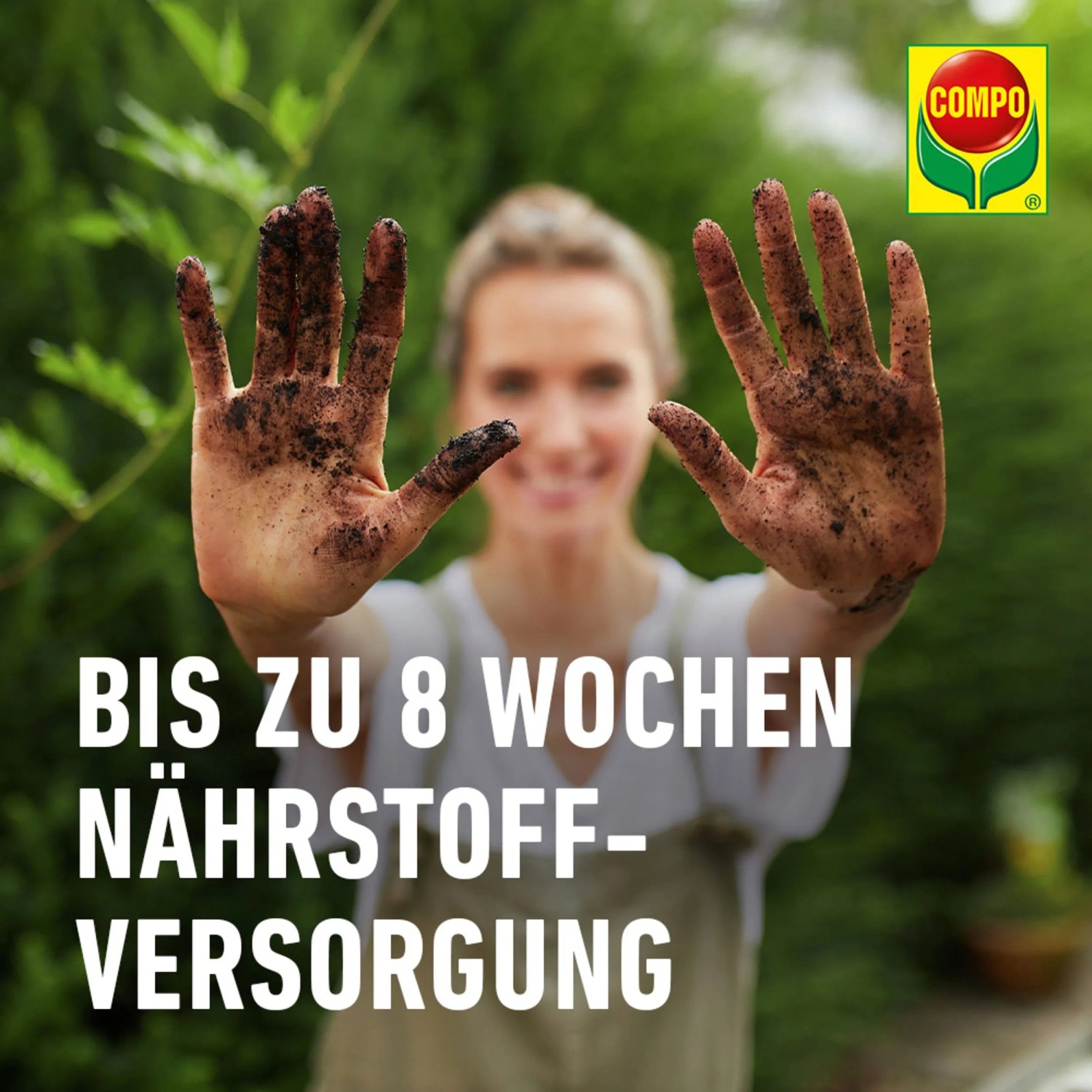 Compo Cactea Kakteen- und Sukkulentenerde 10 l_9