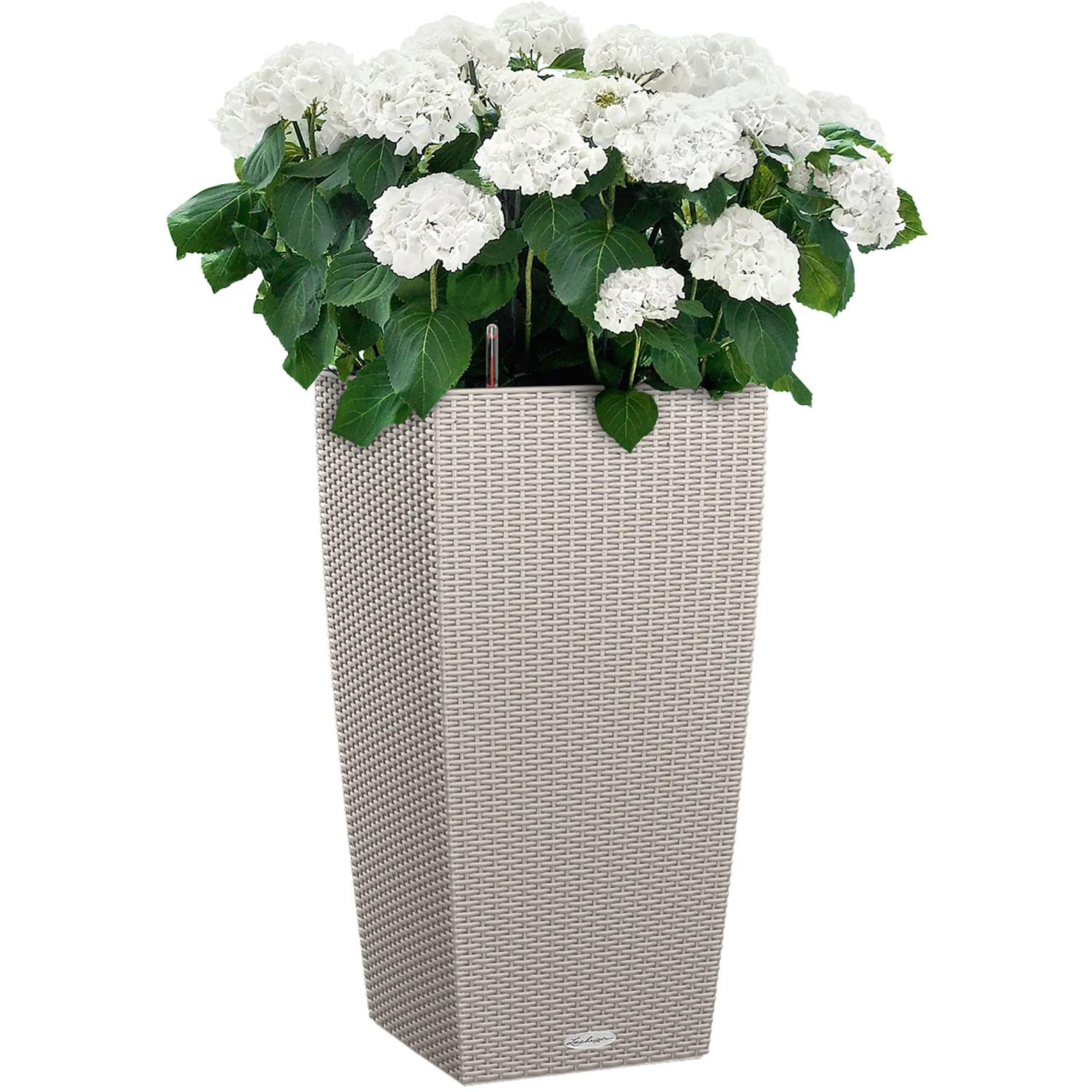 Lechuza Cubico Cottage Pflanzsäule, 40x40x75 cm, sandbraun, mit weißen Hortensien bepflanzt.