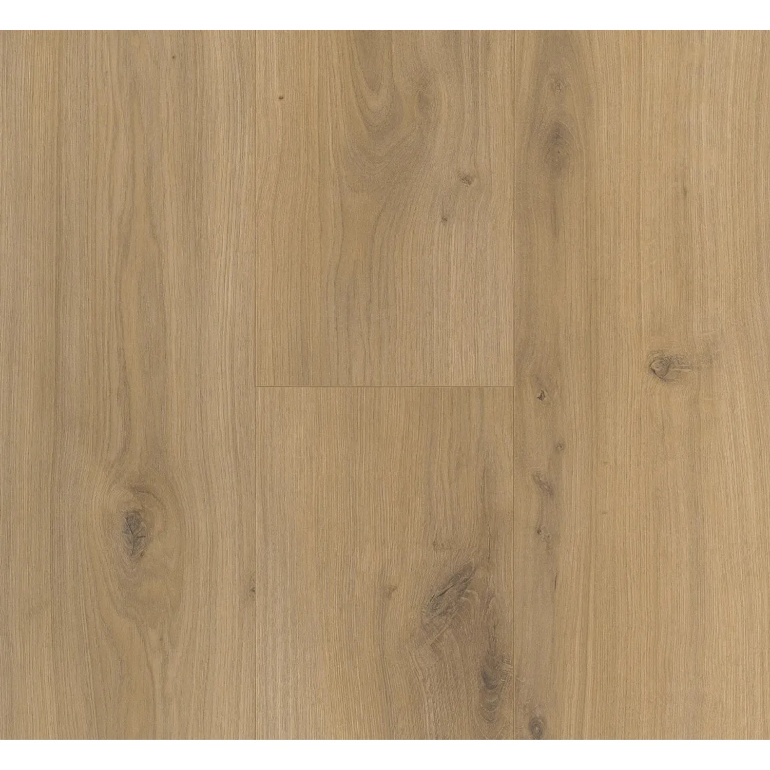 Parador Laminat Basic 400 Eiche Horizont Natur, wasserfest, 8mm stark.