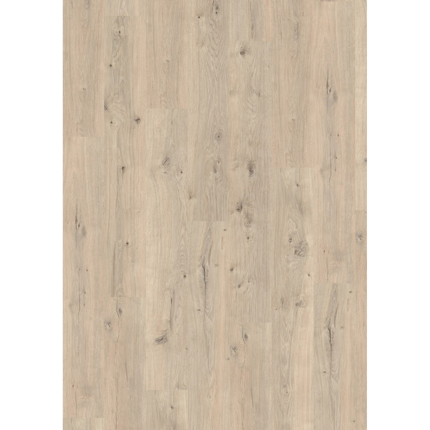 Egger Laminat Classic 8 mm Eiche Repino: Laminatboden in heller Holzoptik, fugenlos und pflegeleicht.