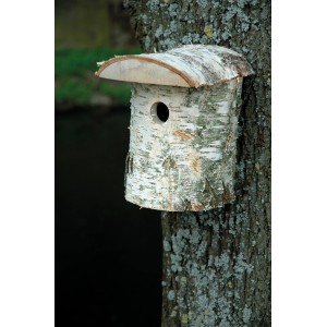 Natur Nistkasten aus Birkenholz (FSC®), Ø 32mm Einflugloch, angebracht an Baum.