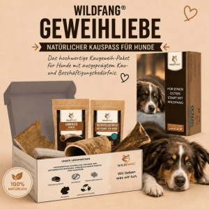 Wildfang Paket Geweihliebe S
