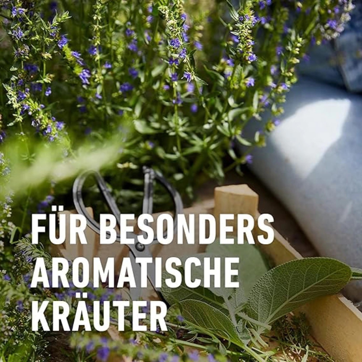 Compo Bio Kräuterdünger 500 ml_5