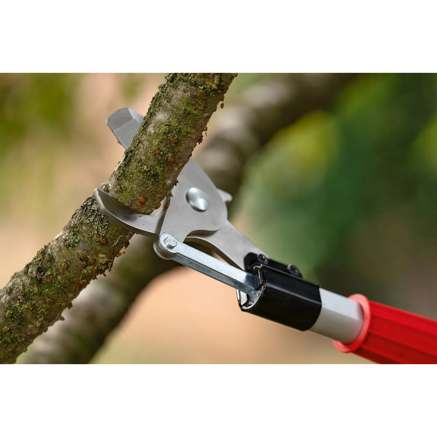Bosch Akku-Baumschere Advanced Prune 18V-45 schneidet Ast. Gartenschere mit Akku, Ladegerät und Verlängerung.