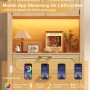 Vitrinenschrank mit LED Beleuchtung, per App steuerbar, zeigt Farbanpassung, Mikrofon- & Timerfunktion. Rattan-Details.